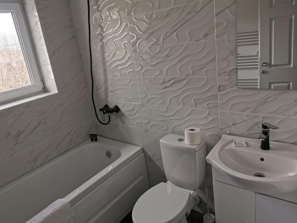 Casa Sonia Hotel Targu Jiu Bagian luar foto